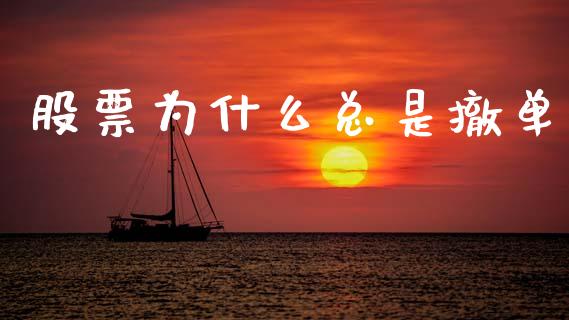 股票为什么总是撤单_https://wap.lxcailiao.com_融资担保_第1张