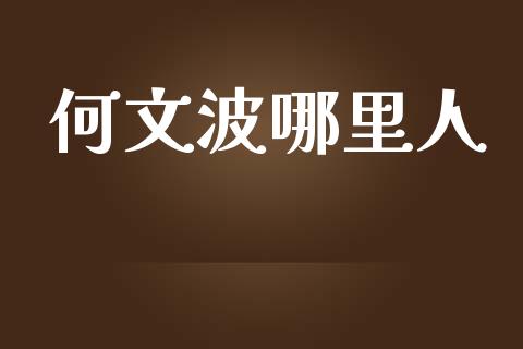 何文波哪里人_https://wap.lxcailiao.com_融资担保_第1张