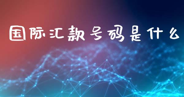 国际汇款号码是什么_https://wap.lxcailiao.com_财务管理_第1张