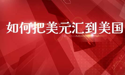 如何把美元汇到美国_https://wap.lxcailiao.com_财务管理_第1张