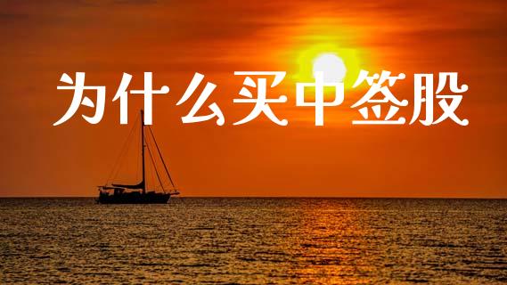 为什么买中签股_https://wap.lxcailiao.com_融资担保_第1张