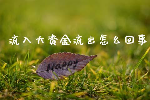 流入大资金流出怎么回事_https://wap.lxcailiao.com_金融监管_第1张