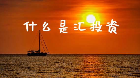 什么是汇投资_https://wap.lxcailiao.com_融资担保_第1张