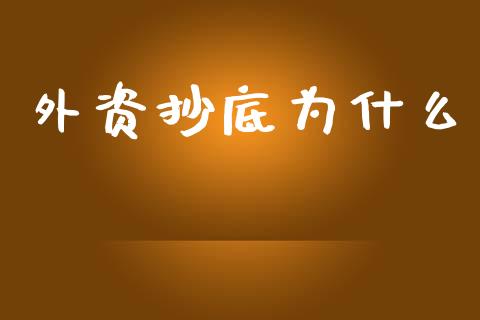外资抄底为什么_https://wap.lxcailiao.com_股权投资_第1张
