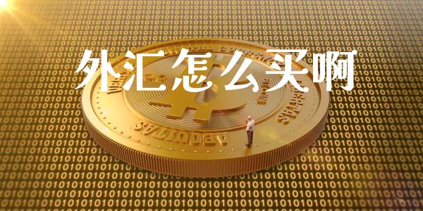 外汇怎么买啊_https://wap.lxcailiao.com_财务管理_第1张