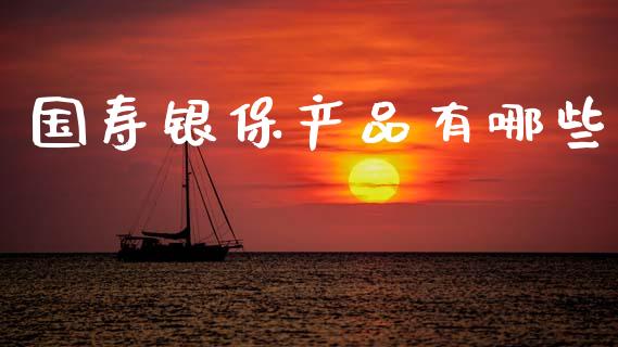 国寿银保产品有哪些_https://wap.lxcailiao.com_股权投资_第1张