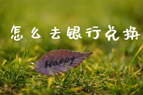 怎么去银行兑换_https://wap.lxcailiao.com_融资担保_第1张