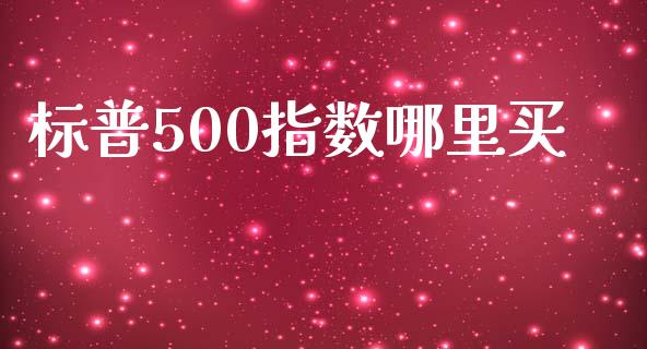 标普500指数哪里买_https://wap.lxcailiao.com_股权投资_第1张