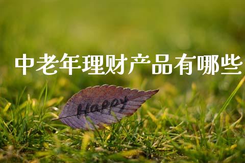 中老年理财产品有哪些_https://wap.lxcailiao.com_金融监管_第1张