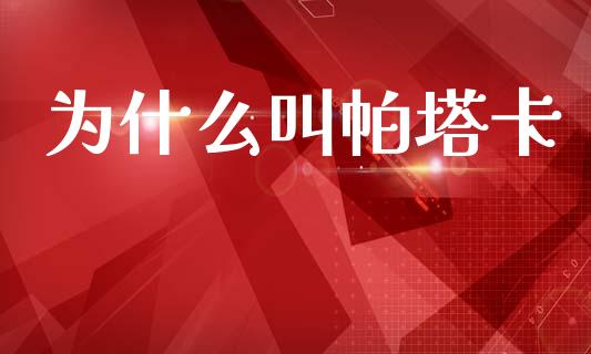 为什么叫帕塔卡_https://wap.lxcailiao.com_股权投资_第1张
