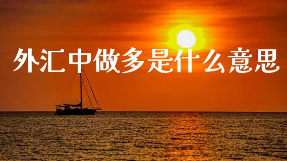 外汇中做多是什么意思_https://wap.lxcailiao.com_金融监管_第1张