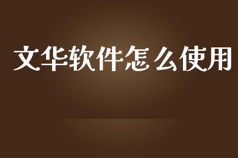文华软件怎么使用_https://wap.lxcailiao.com_融资担保_第1张