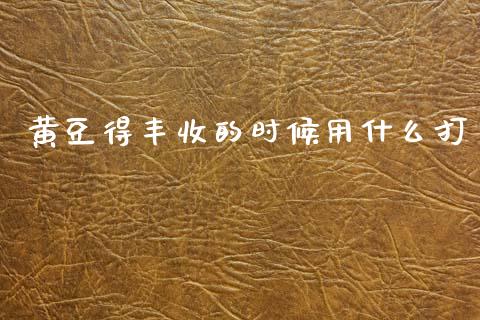 黄豆得丰收的时候用什么打_https://wap.lxcailiao.com_股权投资_第1张