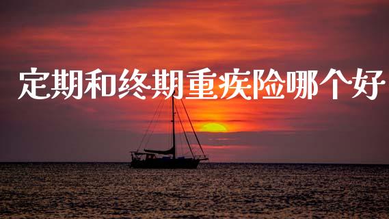 定期和终期重疾险哪个好_https://wap.lxcailiao.com_金融监管_第1张