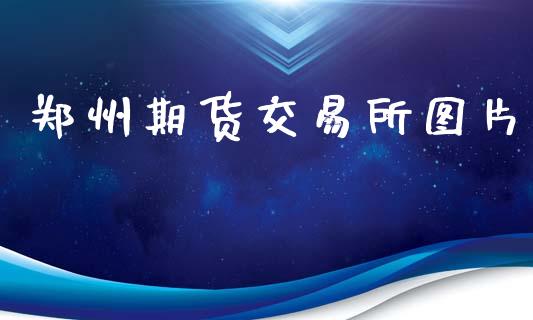 郑州期货交易所图片_https://wap.lxcailiao.com_金融监管_第1张