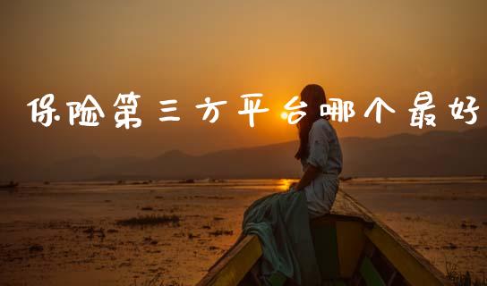 保险第三方平台哪个最好_https://wap.lxcailiao.com_财务管理_第1张