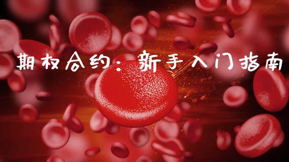 期权合约：新手入门指南_https://wap.lxcailiao.com_财务管理_第1张