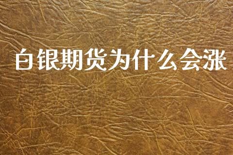 白银期货为什么会涨_https://wap.lxcailiao.com_财务管理_第1张