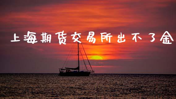 上海期货交易所出不了金_https://wap.lxcailiao.com_金融监管_第1张