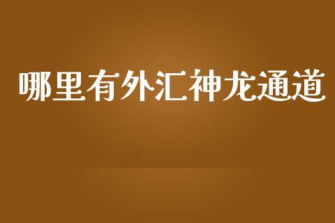 哪里有外汇神龙通道_https://wap.lxcailiao.com_金融监管_第1张