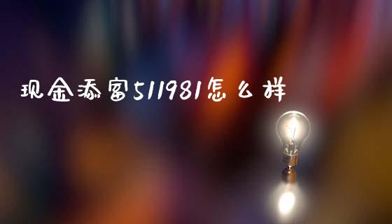 现金添富511981怎么样_https://wap.lxcailiao.com_股权投资_第1张
