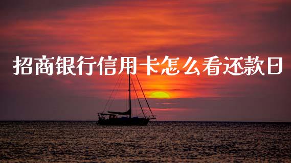 招商银行信用卡怎么看还款日_https://wap.lxcailiao.com_融资担保_第1张
