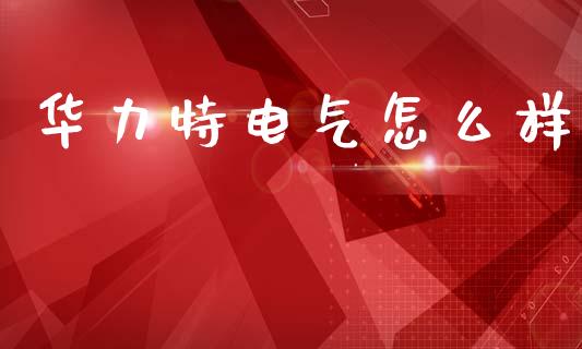 华力特电气怎么样_https://wap.lxcailiao.com_财务管理_第1张