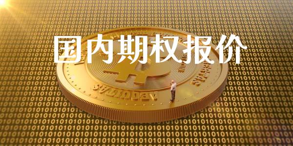 国内期权报价_https://wap.lxcailiao.com_金融监管_第1张