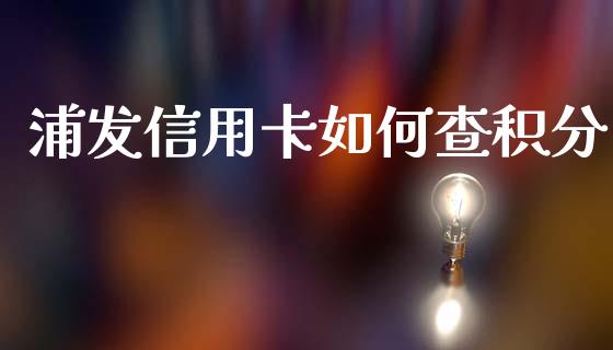浦发信用卡如何查积分_https://wap.lxcailiao.com_财务管理_第1张