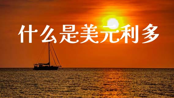 什么是美元利多_https://wap.lxcailiao.com_股权投资_第1张