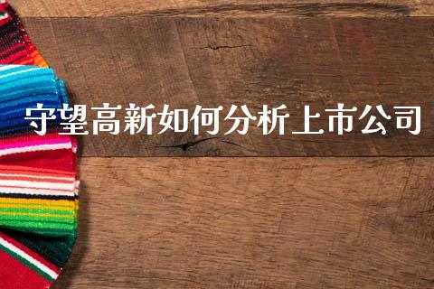 守望高新如何分析上市公司_https://wap.lxcailiao.com_股权投资_第1张