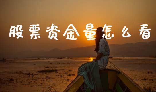 股票资金量怎么看_https://wap.lxcailiao.com_融资担保_第1张