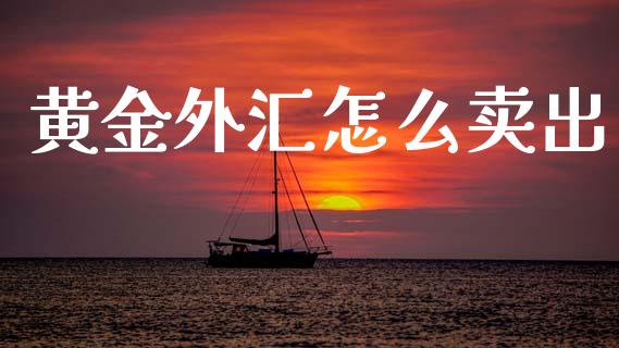 黄金外汇怎么卖出_https://wap.lxcailiao.com_金融监管_第1张