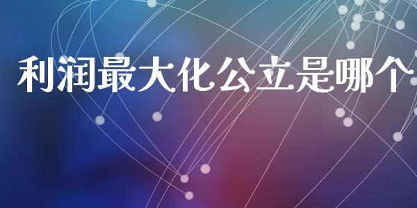 利润最大化公立是哪个_https://wap.lxcailiao.com_融资担保_第1张
