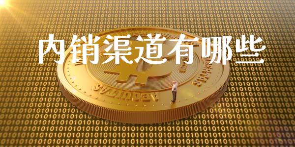 内销渠道有哪些_https://wap.lxcailiao.com_财务管理_第1张