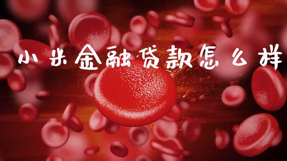 小米金融贷款怎么样_https://wap.lxcailiao.com_财务管理_第1张