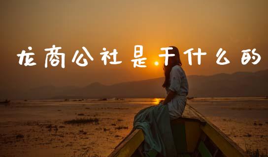 龙商公社是干什么的_https://wap.lxcailiao.com_金融监管_第1张