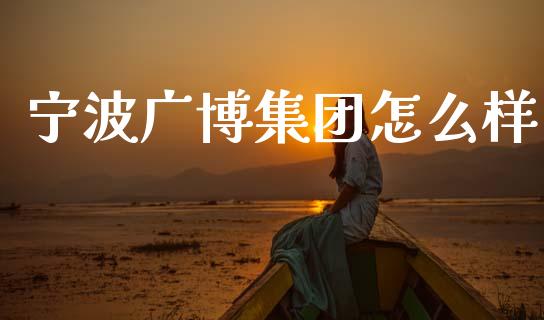 宁波广博集团怎么样_https://wap.lxcailiao.com_金融监管_第1张