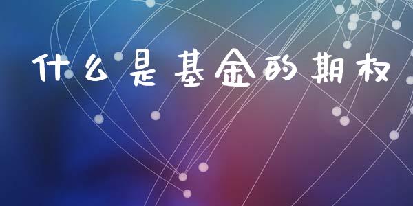 什么是基金的期权_https://wap.lxcailiao.com_融资担保_第1张