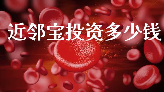 近邻宝投资多少钱_https://wap.lxcailiao.com_融资担保_第1张
