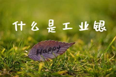 什么是工业银_https://wap.lxcailiao.com_股权投资_第1张