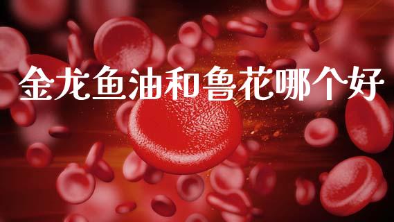 金龙鱼油和鲁花哪个好_https://wap.lxcailiao.com_融资担保_第1张