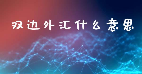 双边外汇什么意思_https://wap.lxcailiao.com_财务管理_第1张