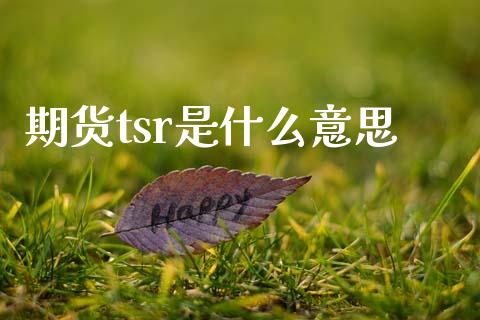 期货tsr是什么意思_财务管理_第1张_金融监管_融资担保_财务管理_股权投资 期货tsr是什么意思_https://wap.lxcailiao.com_财务管理_第1张
