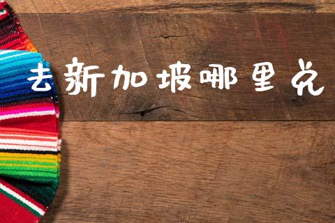 去新加坡哪里兑_https://wap.lxcailiao.com_融资担保_第1张