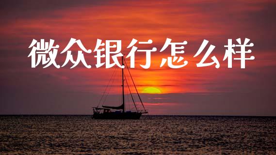 微众银行怎么样_https://wap.lxcailiao.com_融资担保_第1张