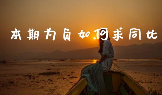 本期为负如何求同比_https://wap.lxcailiao.com_股权投资_第1张