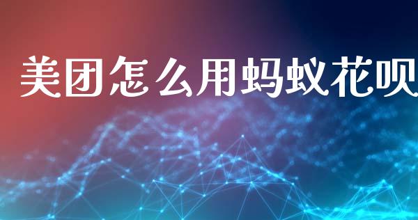 美团怎么用蚂蚁花呗_https://wap.lxcailiao.com_股权投资_第1张