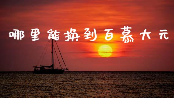 哪里能换到百慕大元_https://wap.lxcailiao.com_融资担保_第1张