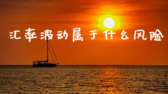 汇率波动属于什么风险_https://wap.lxcailiao.com_融资担保_第1张